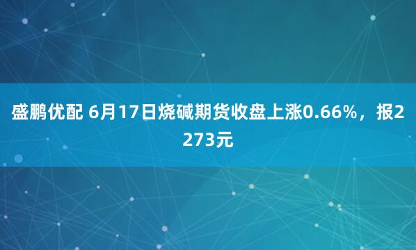 盛鹏优配 6月17日烧碱期货收盘上涨0.66%，报2273元