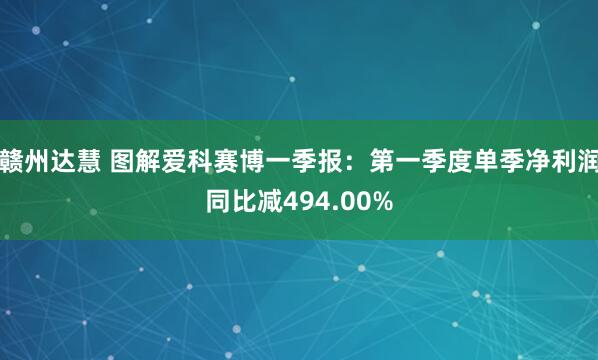 赣州达慧 图解爱科赛博一季报：第一季度单季净利润同比减494.00%