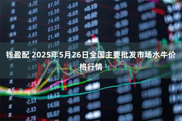 钱盈配 2025年5月26日全国主要批发市场水牛价格行情