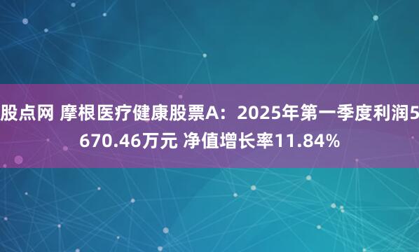 股点网 摩根医疗健康股票A：2025年第一季度利润5670.46万元 净值增长率11.84%
