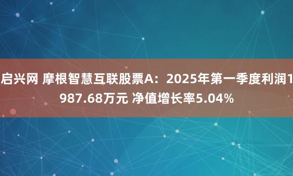 启兴网 摩根智慧互联股票A：2025年第一季度利润1987.68万元 净值增长率5.04%