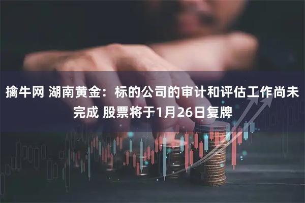 擒牛网 湖南黄金：标的公司的审计和评估工作尚未完成 股票将于1月26日复牌