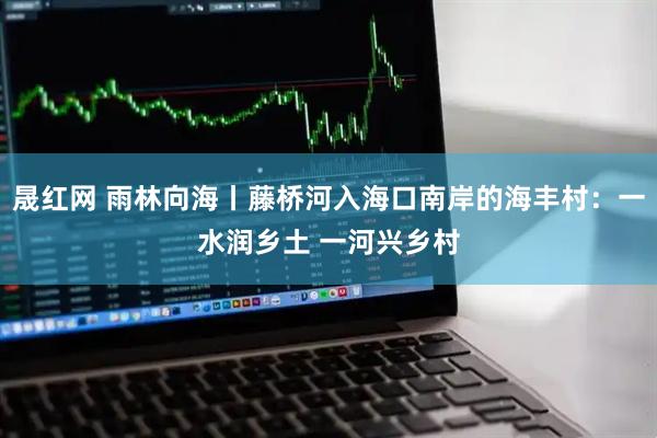 晟红网 雨林向海丨藤桥河入海口南岸的海丰村：一水润乡土 一河兴乡村